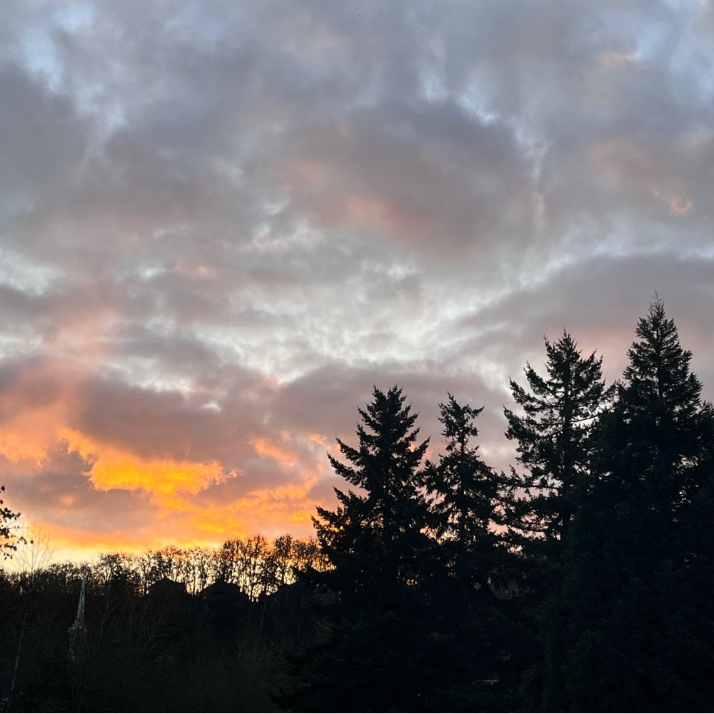 Meet your Posher, Pickle